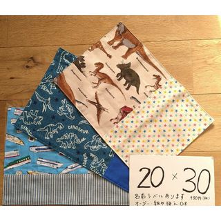 恐竜　新幹線　20×30　ランチョンマット　裏地あり　3枚　ハンドメイド(外出用品)