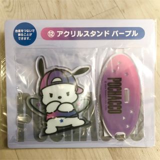 サンリオ(サンリオ)のポチャッコ　アクリルスタンド　パープル(キャラクターグッズ)
