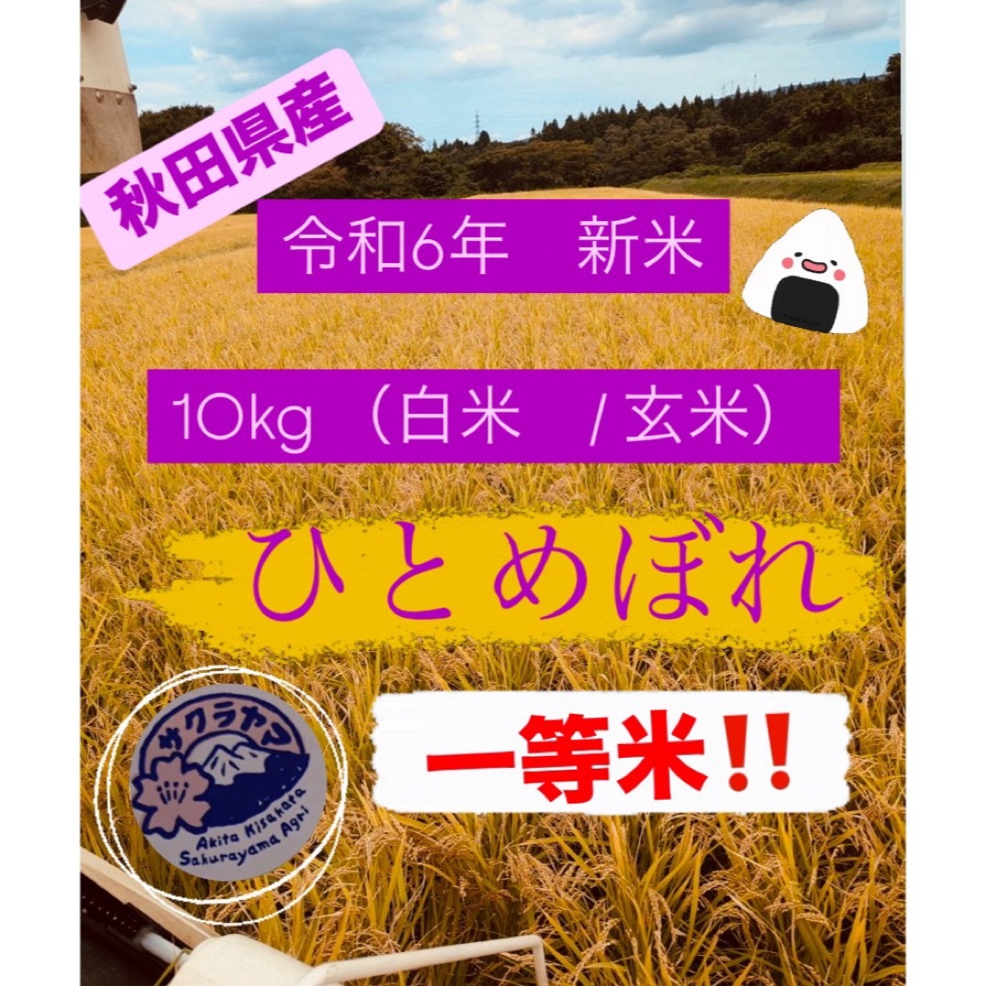 ミッキー様ご専用 R5年度新米 愛媛県産にこまる 天日干し米 20kg
