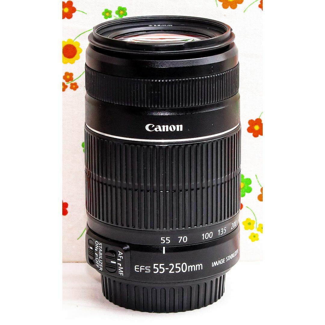 独創的 美品 Canon EF-S 55-250mm IS Ⅱ☆手振れ補正付き レンズ 独創的 美品 Canon EF-S 55-250mm IS Ⅱ☆手振れ補正付き レンズ