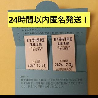 匿名発送！東武鉄道株主優待乗車証 2枚 2024/12/31まで有効 翌日朝発送(鉄道乗車券)