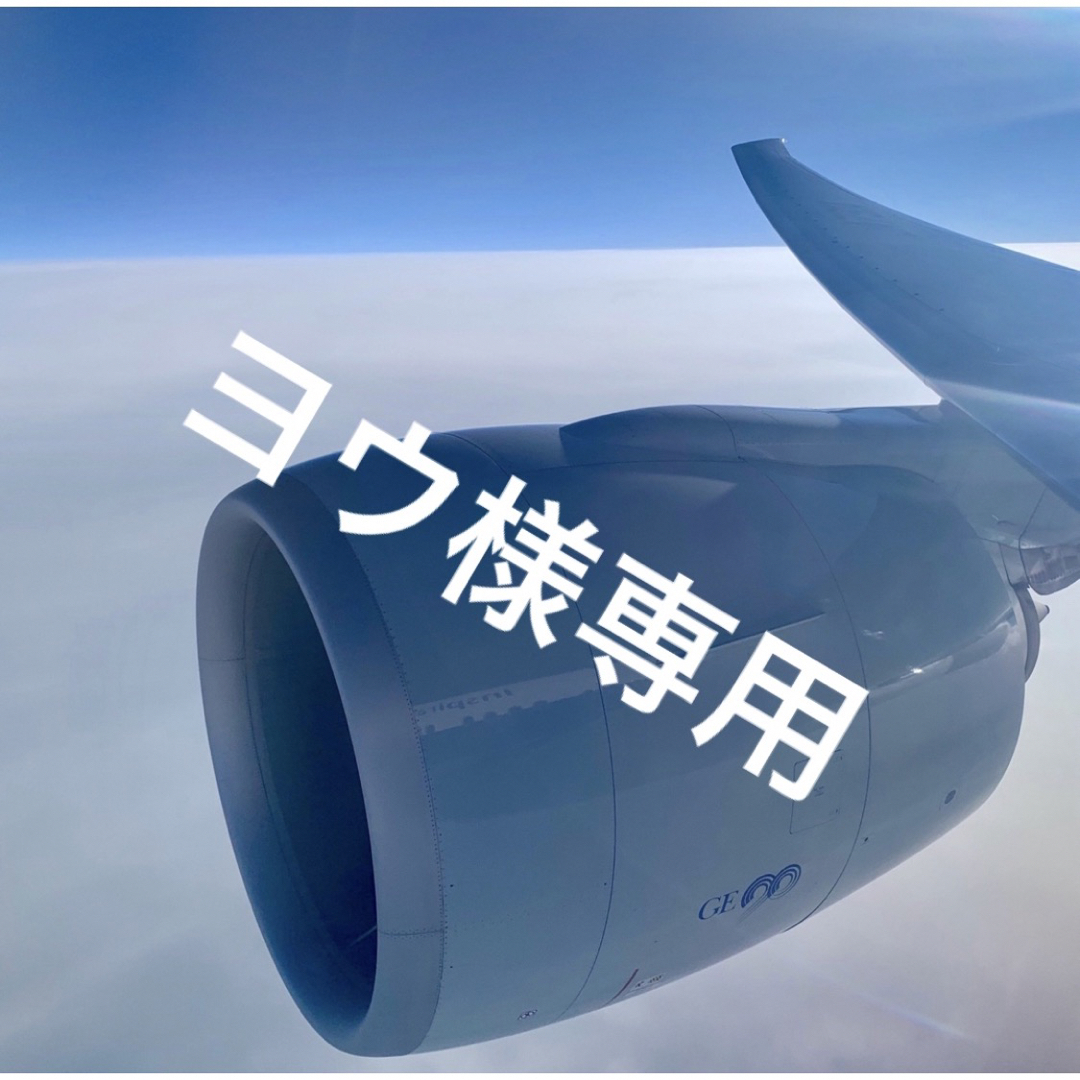 ヨウ様専用② ヨウ様専用②