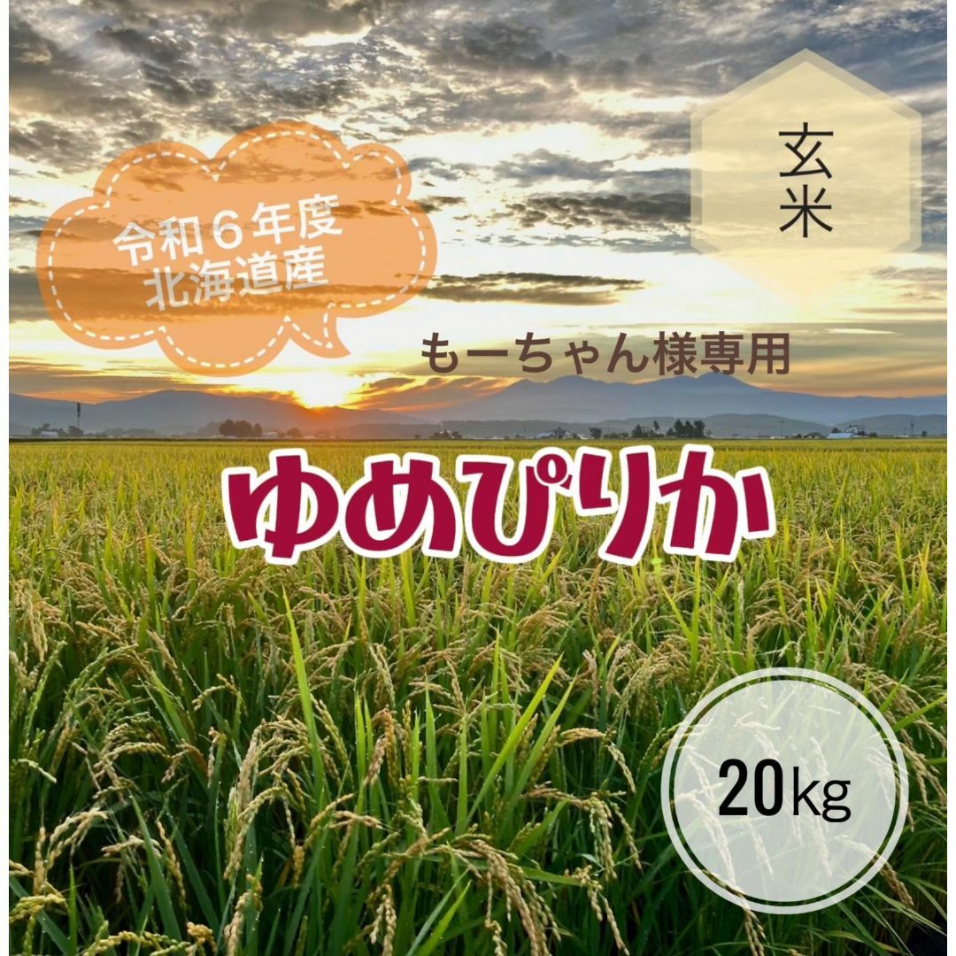 令和6年度北海道産ゆめぴりか玄米20㎏農家直送