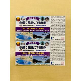 藤田観光　株主優待　日帰り施設ご利用券2枚(水族館)