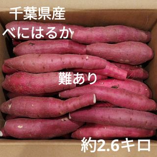 56 難あり　千葉県産　べにはるか　さつまいも　サツマイモ　約2.6㎏(野菜)
