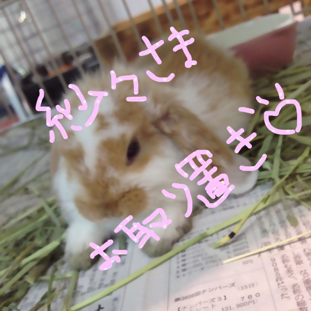 LIZ LISA(リズリサ)の紗々さまお取り置き♡ レディースのワンピース(ひざ丈ワンピース)の商品写真