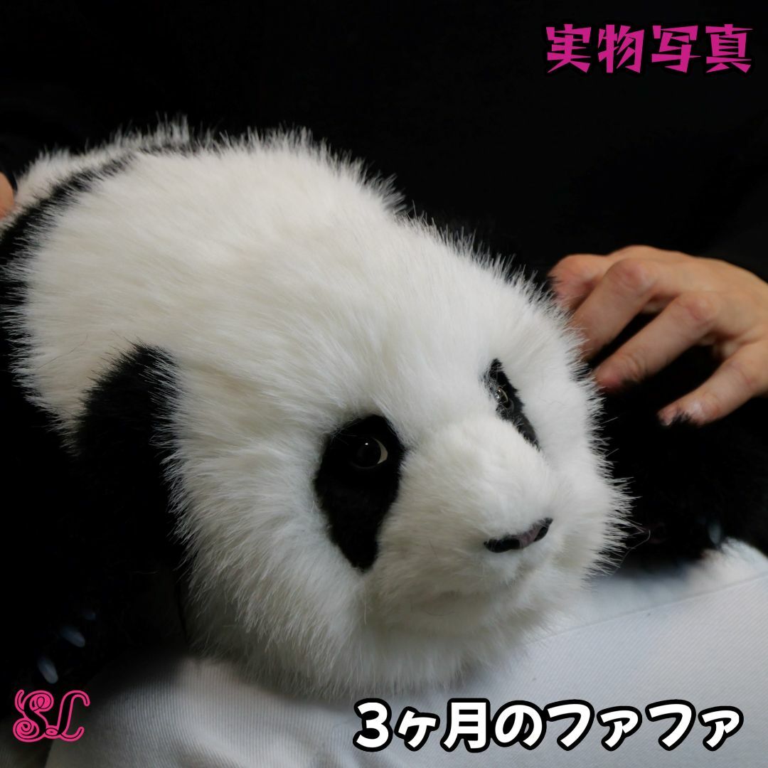 リアルでかわいい！成都パンダ基地生まれの人気ぬいぐるみが新