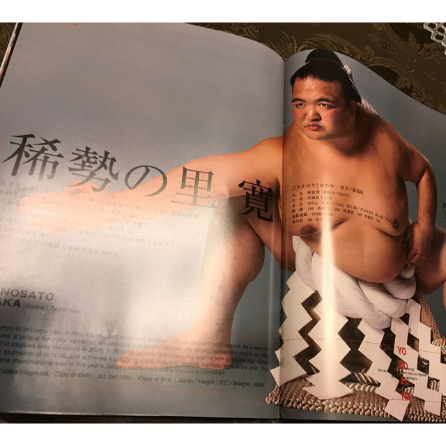 大相撲 大阪場所 3月 パンフレットタオル 稀勢の里 チケットのスポーツ(相撲/武道)の商品写真