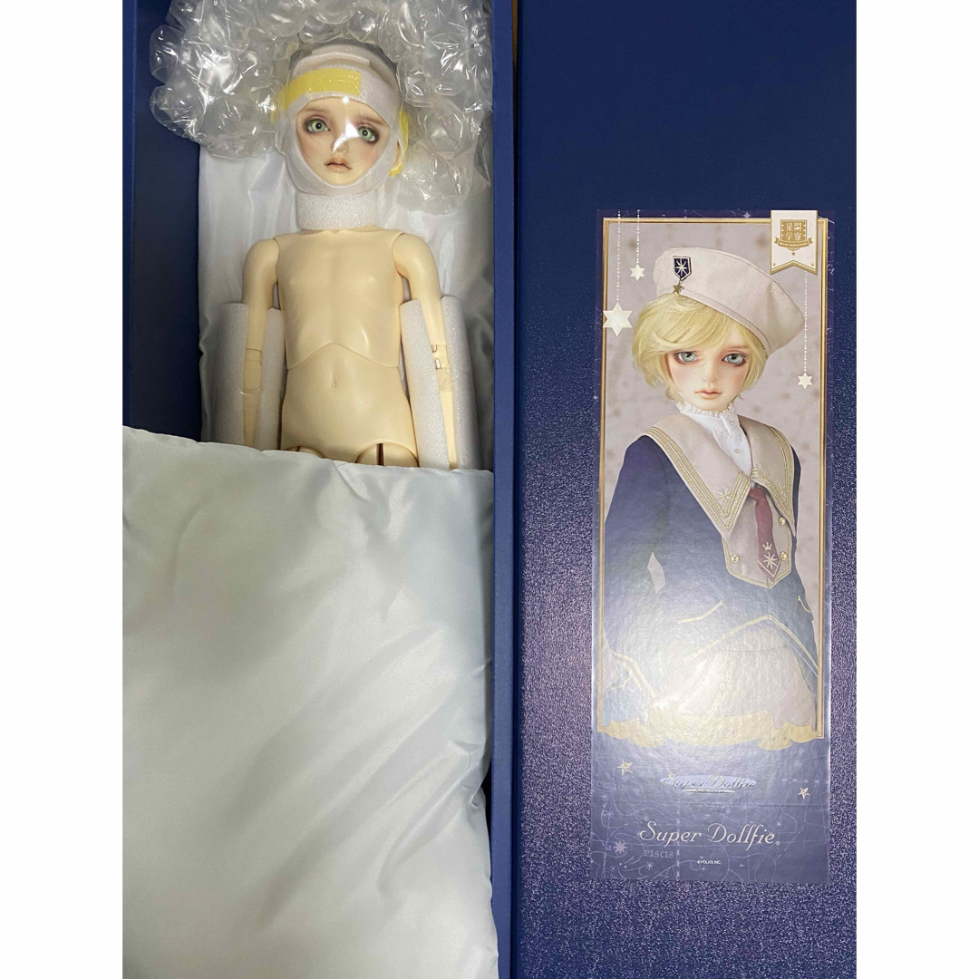 期間限定値下げ!SD男の子 リゲル 星間学寮 スーパードルフィー 期間限定値下げ!SD男の子 リゲル 星間学寮 スーパードルフィー