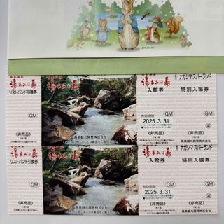湯あみの島入館券+ナガシマスパーランド　入場券　ペア　2枚(遊園地/テーマパーク)