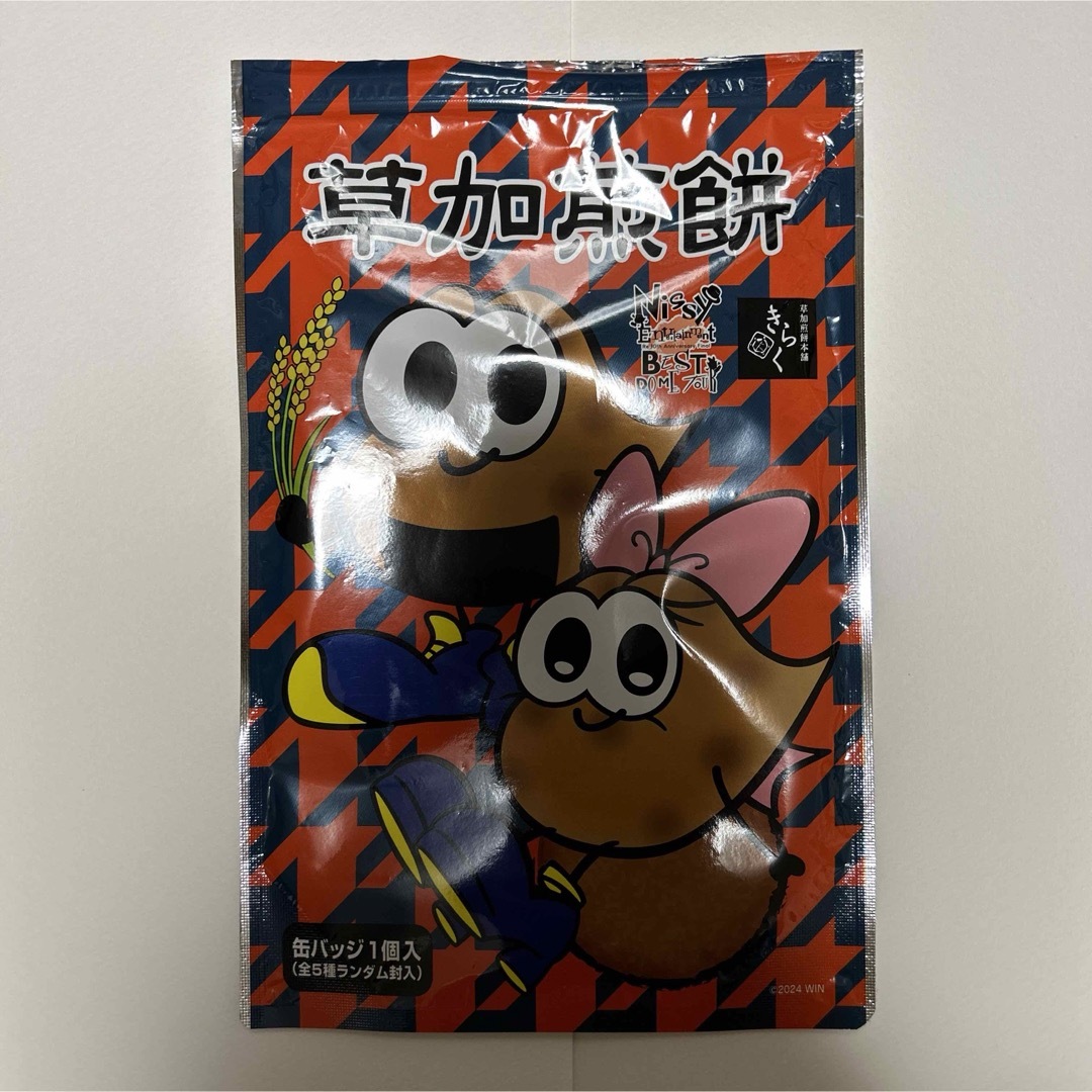 Nissy Entertainment BEST DOME TOUR 草加煎餅 エンタメ/ホビーのタレントグッズ(アイドルグッズ)の商品写真