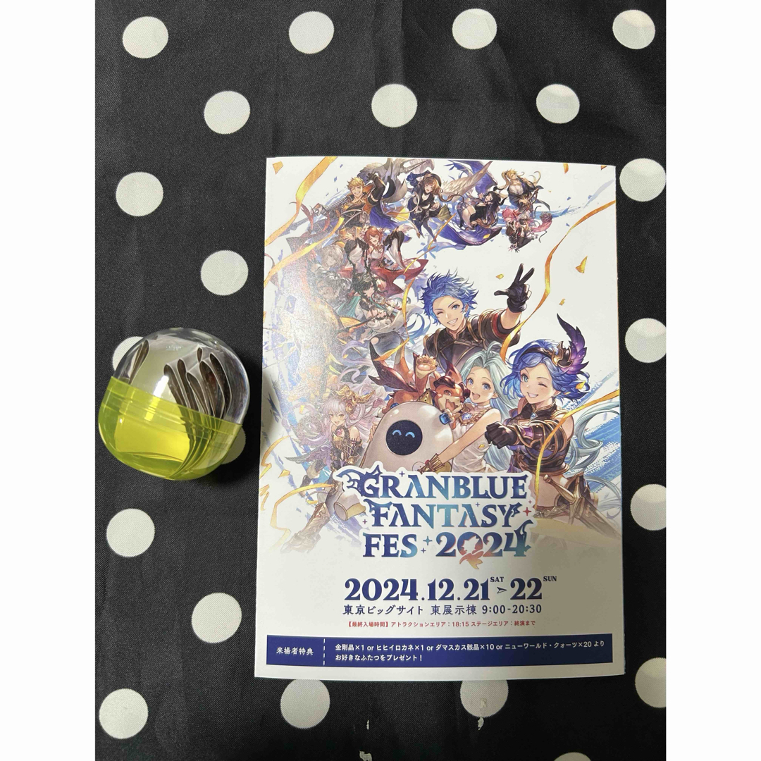 グラフェス 入場特典 リーフレット