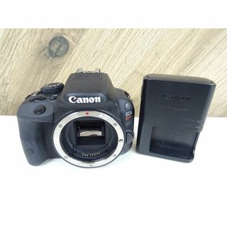 キヤノン(Canon)の藤287 / Canon EOS Kiss X7 一眼レフカメラ(デジタル一眼)