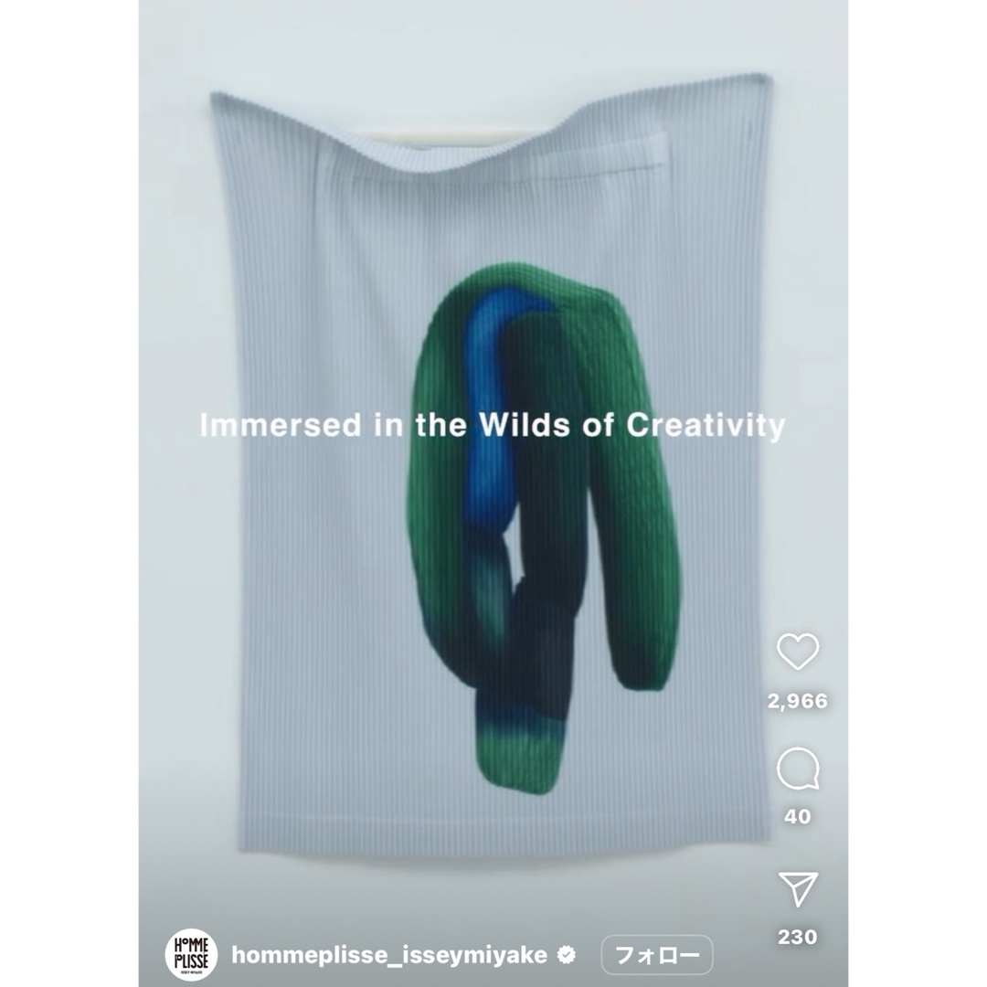 ISSEY MIYAKE - 美品 HOMME PLISSE ロナンブルレック コラボ ISSEY MIYAKE - 美品 HOMME PLISSE ロナンブルレック コラボ