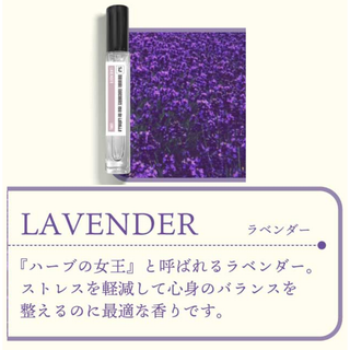 ラベンダー　SJ エスジェイ ナチュラル フレグランス オードトワレ10ml(香水(女性用))