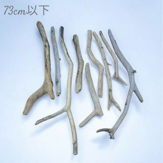 可愛い流木の小枝8本セット 73cm以下　ハンドメイド　雑貨　インテリア　装飾(インテリア雑貨)