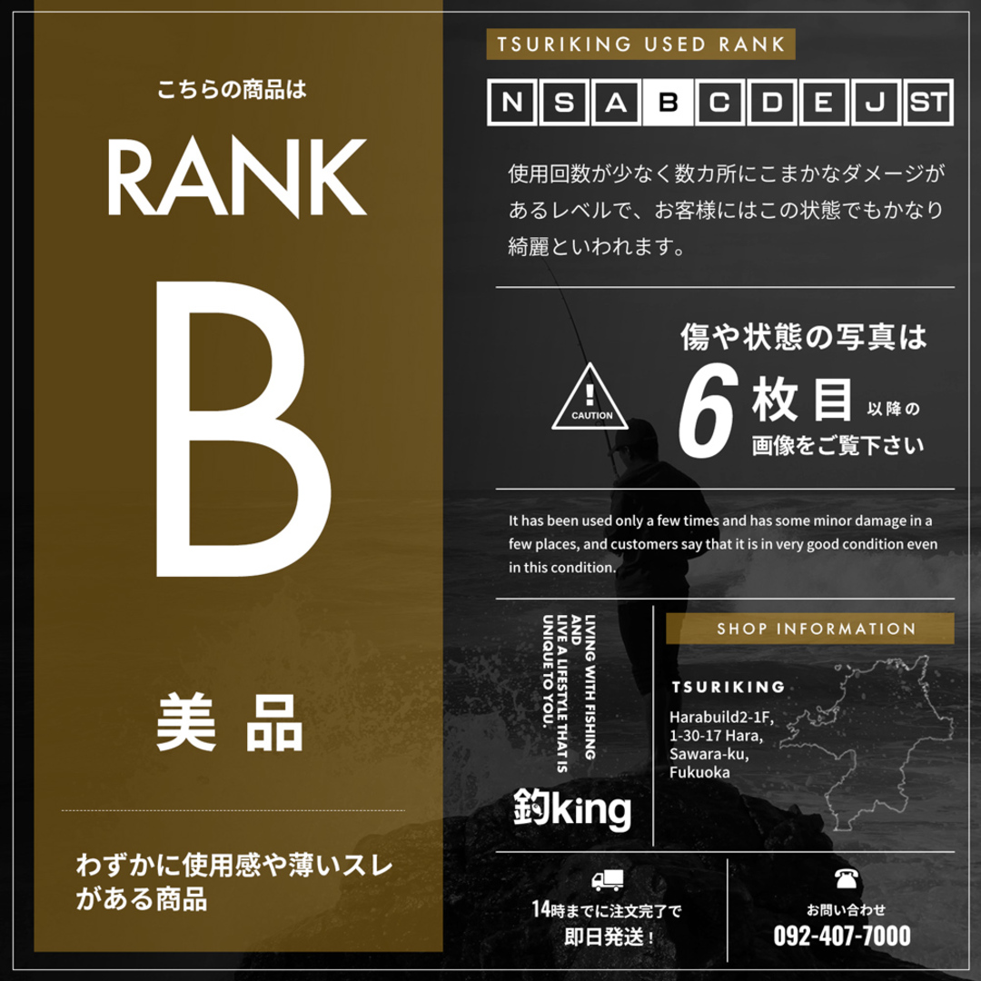 EVERGREEN - 【中古/美品】 エバーグリーン ソルティー EVERGREEN - 【中古/美品】 エバーグリーン ソルティー