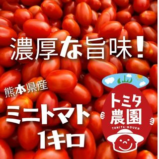 熊本県産ミニトマト「茜とまと１キロ」(野菜)