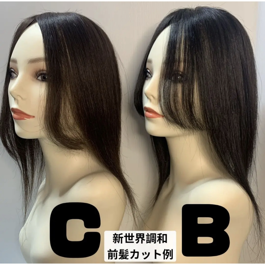 真2025新世界超人工肌人毛100%ウィッグ ヘアピース 総手植え 真2025新世界超人工肌人毛100%ウィッグ ヘアピース 総手植え