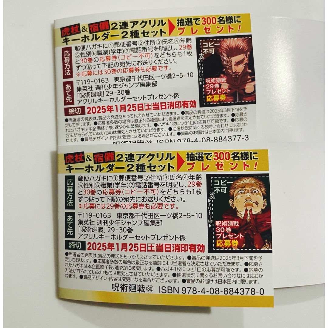 呪術廻戦 - 呪術廻戦 29.30巻 アクリルキーホルダー 応募券 の 呪術廻戦 - 呪術廻戦 29.30巻 アクリルキーホルダー 応募券 の