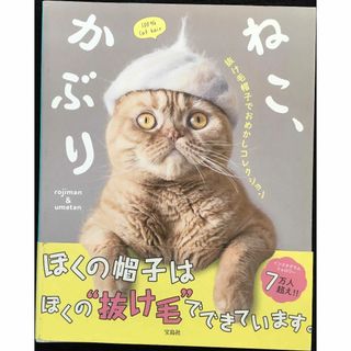 ねこ、かぶり 抜け毛帽子でおめかしコレクション(アート/エンタメ)