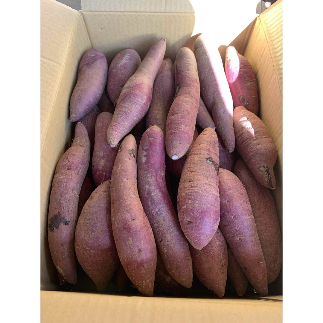 佐賀県伊万里産 紫サツマイモ🍠約5キロ 食品/飲料/酒の食品(野菜)の商品写真