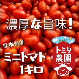 熊本県産ミニトマト「茜とまと１キロ」(野菜)