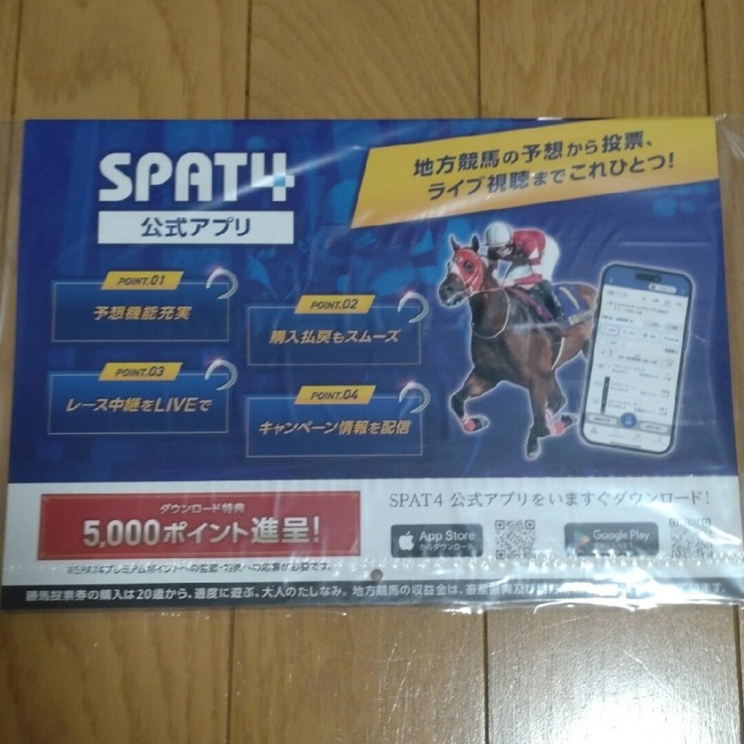 南関東4競馬場カレンダー2025 インテリア/住まい/日用品の文房具(カレンダー/スケジュール)の商品写真