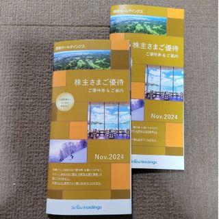 西武ホールディングス株主優待券 2冊(その他)