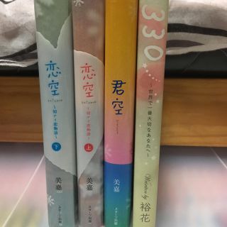 恋空、君空(文学/小説)