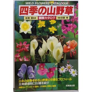 【中古】四季の山野草:観察カタログ／安藤博 写真／成美堂出版(科学/技術)
