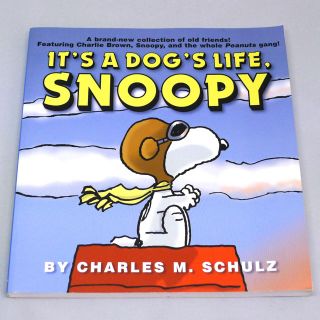 スヌーピー(SNOOPY)のスヌーピー/SNOOPY☆英文マンガ☆カラー☆(その他)