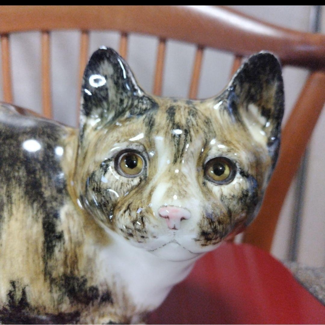 ウィンスタンレイキャット(ケンジントンキャット ウィンスタンレイキャット(ケンジントンキャット
