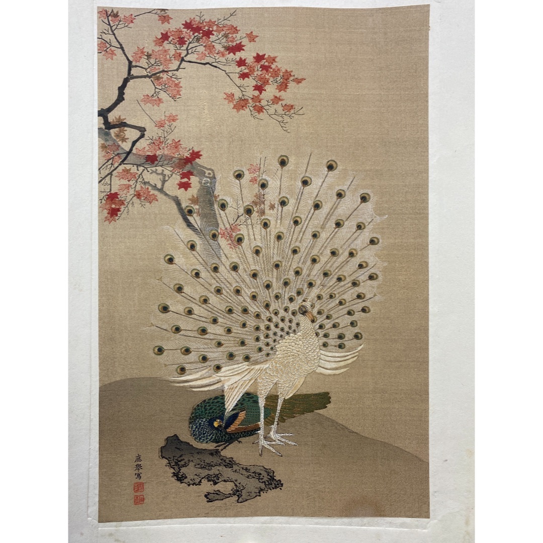浮世繪孔雀40