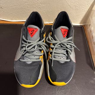 ナイキ(NIKE)のNike Zoom シューズ(その他)
