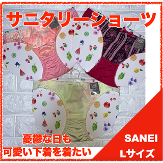 【匿名】SANEI サニタリーショーツ　Lサイズ　ナイト用　3枚セット　4078(ショーツ)