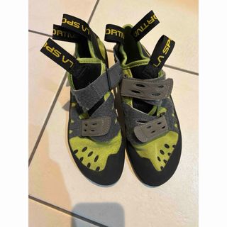 LA SPORTIVA - 新品 LA SPORTIVA Futura 36 フューチュラ の通販 LA SPORTIVA - 新品 LA SPORTIVA Futura 36 フューチュラ の通販