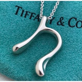 Tiffany & Co. - Tiffany ラージイニシャルn ロング チェーン Tiffany & Co. - Tiffany ラージイニシャルn ロング チェーン