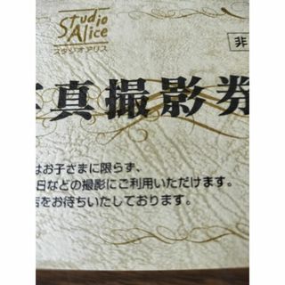 スタジオアリス　株主写真撮影券(その他)
