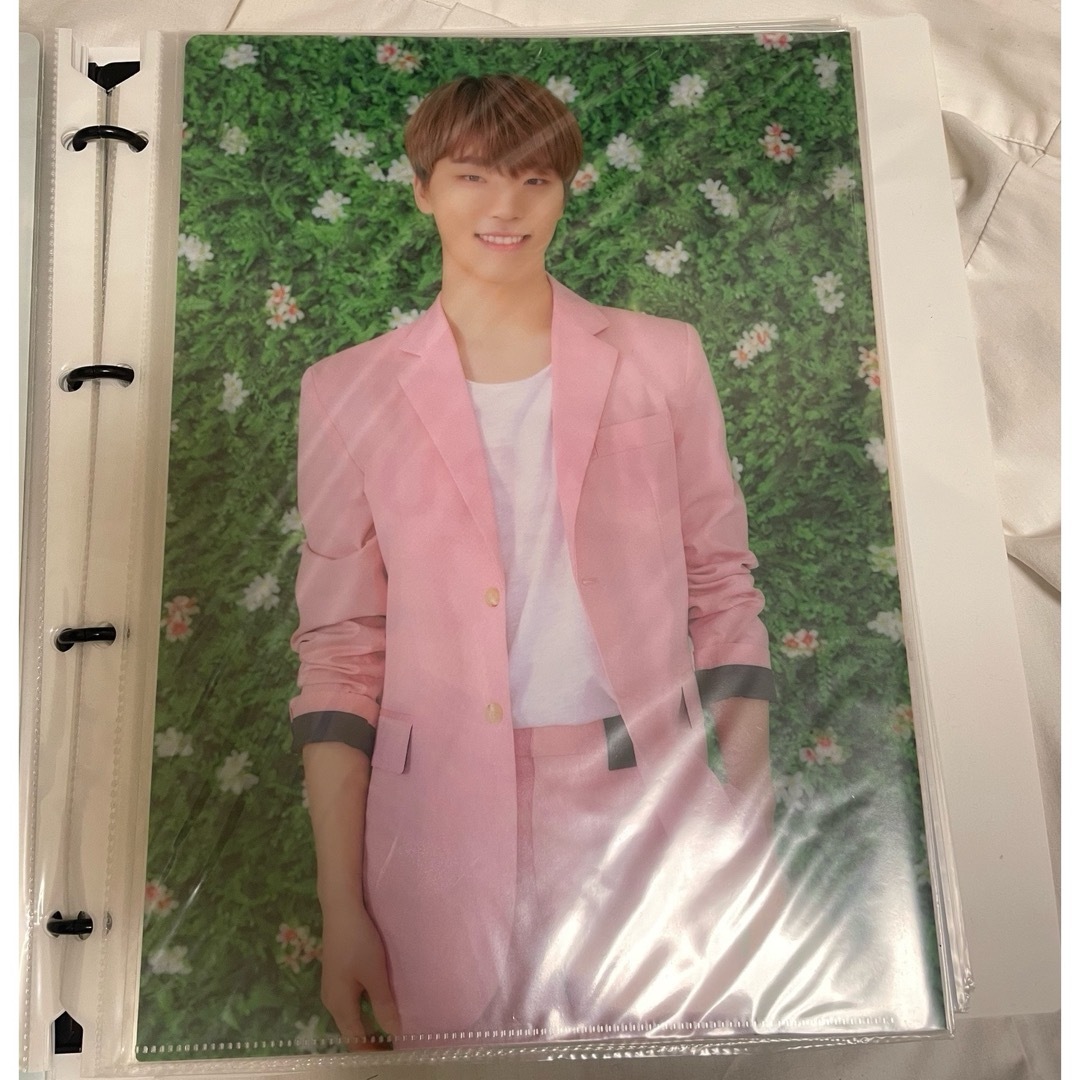 SEVENTEEN(セブンティーン)のSEVENTEEN HARU クリアファイル ディノ チケットの音楽(K-POP/アジア)の商品写真