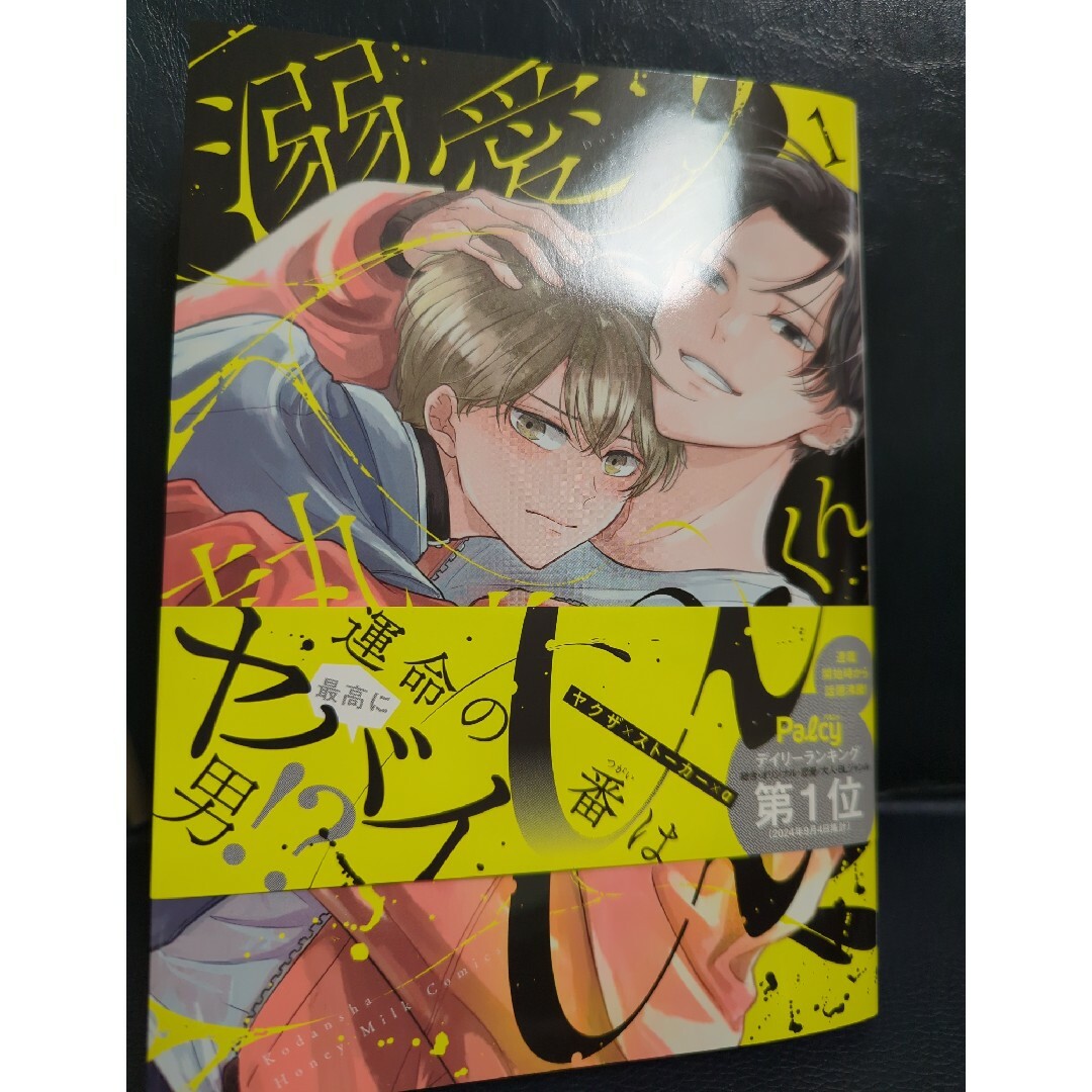 講談社(コウダンシャ)の溺愛執着αくん エンタメ/ホビーの漫画(ボーイズラブ(BL))の商品写真
