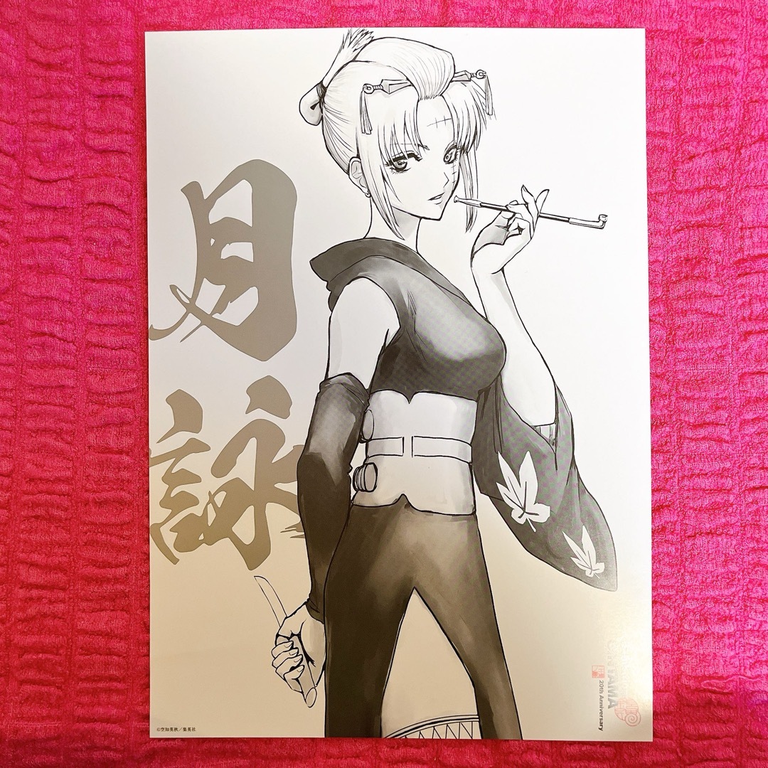 集英社 - 銀魂展 はたちのつどい 月詠 A4ポスターの通販 by 集英社 - 銀魂展 はたちのつどい 月詠 A4ポスターの通販 by