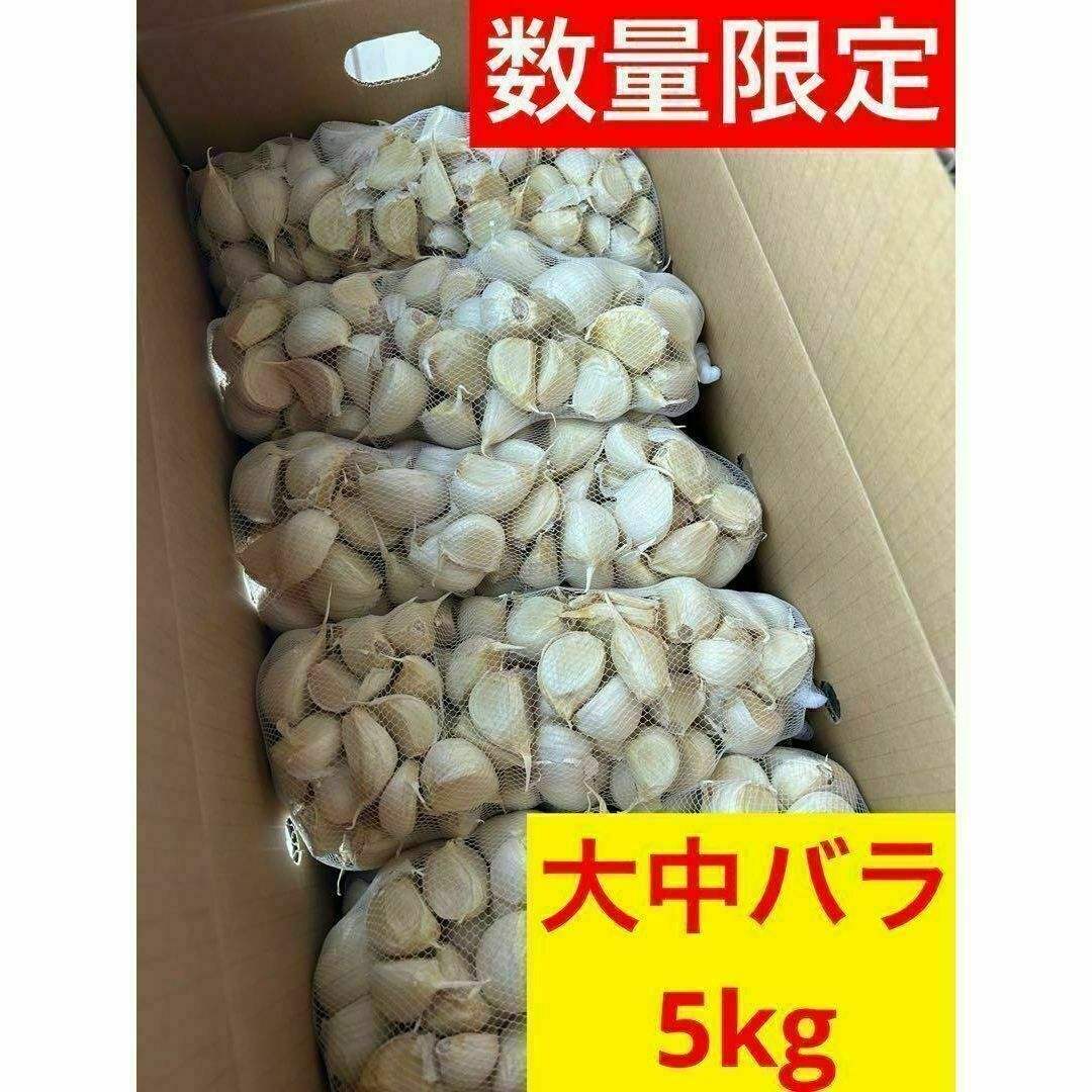 早い者勝ち 新物 青森県産にんにく バラ大中5kg 加工 福地ホワイト 早い者勝ち 新物 青森県産にんにく バラ大中5kg 加工 福地ホワイト