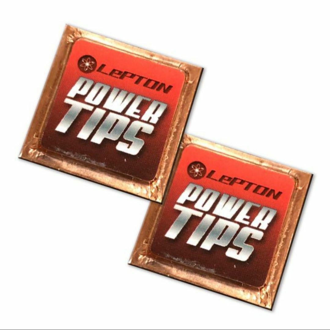 レプトンパワーチップス 2個セット 燃費向上 パワーアップ　静電気除去汎用パーツ