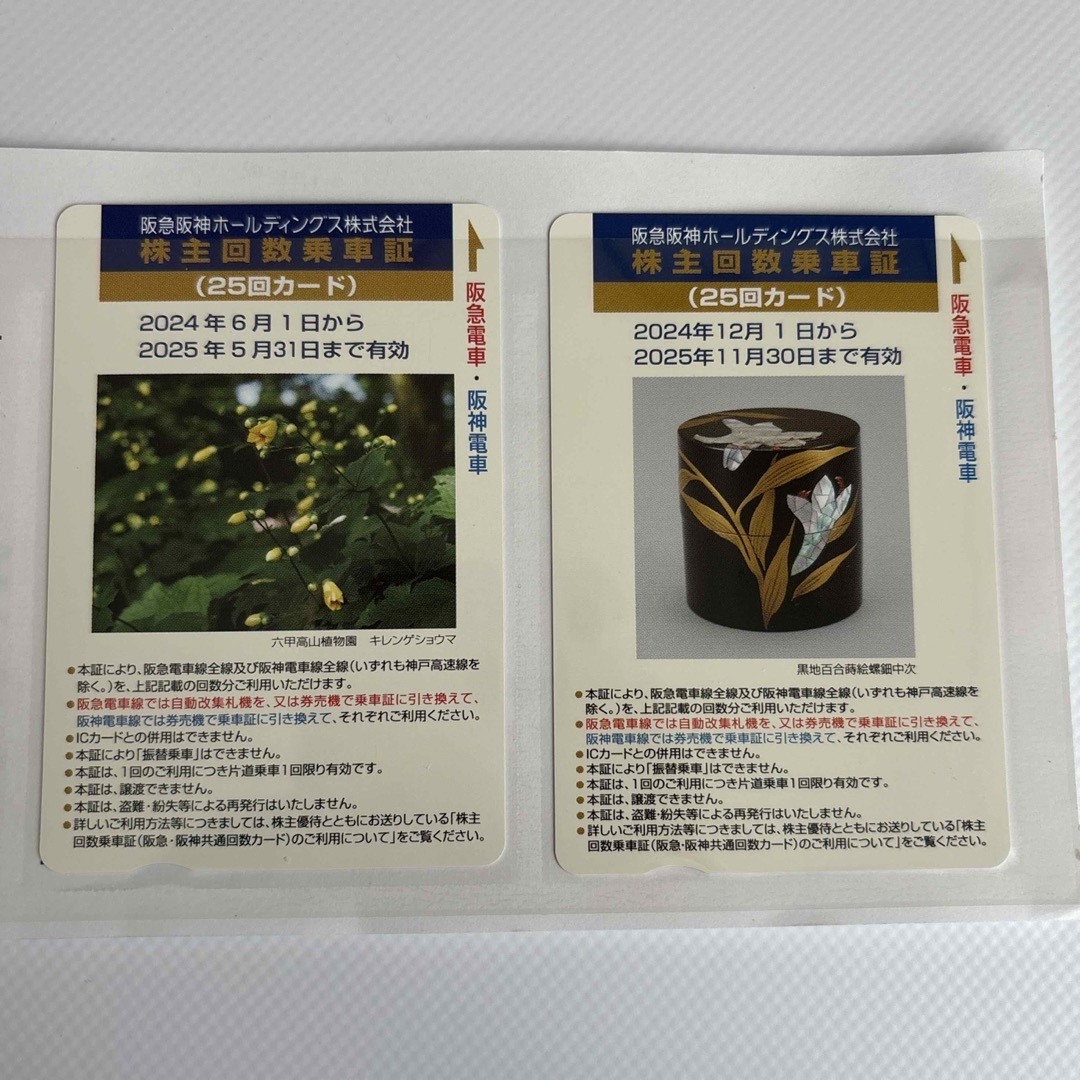 Joshin 株主優待券 30000円分 Joshin 株主優待券 30000円分