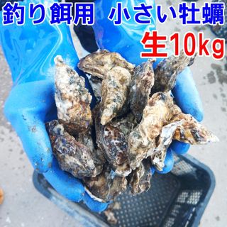 【休業日はプロフ参照】生出荷釣り餌用10kg かぶせ釣り 牡蠣 餌用牡蠣 牡蛎 釣りエサ コブダイ つり餌 つりエサ 貝類 貝餌 松島牡蠣屋　生牡蠣(その他)