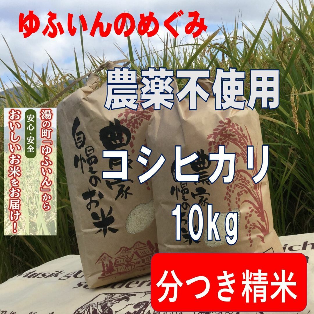 2024年産「ゆふいんのめぐみ」コシヒカリ分つき精米10kg