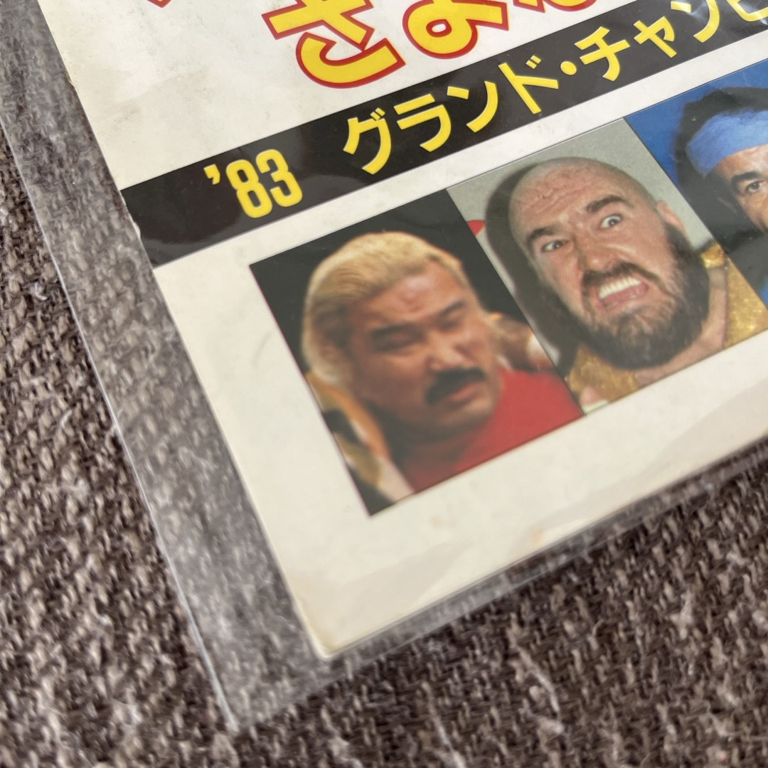 全日本プロレス！テリーファンクサヨナラシリーズ スポーツ/アウトドアのスポーツ/アウトドア その他(格闘技/プロレス)の商品写真