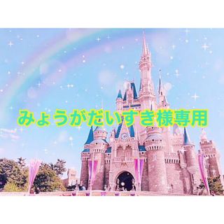 《みょうがだいすき様専用》キャラワッペン(その他)