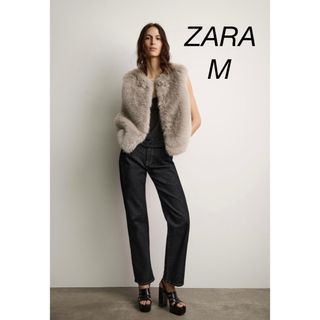 ZARA(毛皮/ファーコート ・ グレー/灰色系)のフリマアイテム一覧 ZARA(毛皮/ファーコート ・ グレー/灰色系)のフリマアイテム一覧